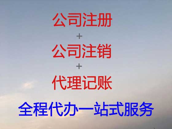 安阳公司个体户注册-财务代理记账